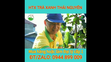 Chè Thái Nguyên | Mời bạn làm Đại lý, NPP cấp 1 |#shorts