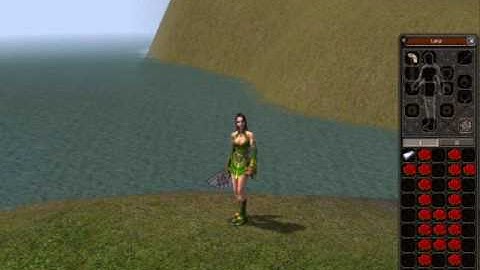 Metin 2  HU Pegazus Dragoncs