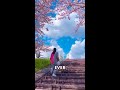 Discover the Floral Wonders of Hitachi Seaside Park #shorts #nature