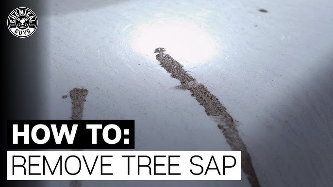 Car is plastered with Tree Sap - How to remove tree sap safely 