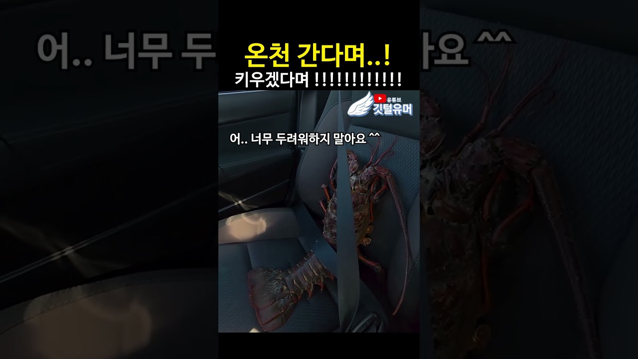 저희 온천 가는거 맞나요 선생님..?