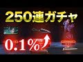 【APEX LEGENDS】250連ガチャ！もはや後には引けない…！【渋谷ハル】