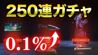 【APEX LEGENDS】250連ガチャ！もはや後には引けない…！【渋谷ハル】