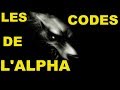 Les codes de lalpha  la sduction de lhomme dsirable 1