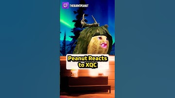 Peanut Reacts to XQC