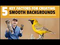 FIVE KEY factors for creating SMOOTH BACKGROUNDS in bird photographs.