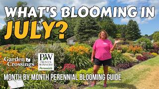 What Perennials Are Blooming in July? | Garden Crossings Month by Month Perennial Blooming Guide