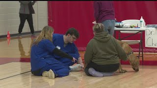 Hundreds of animals get free exams at YSU clinic