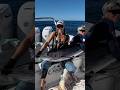 Marlin Caught On Blue Wave Beyond Braid! #Fishing #FishingVideos #FishingContent