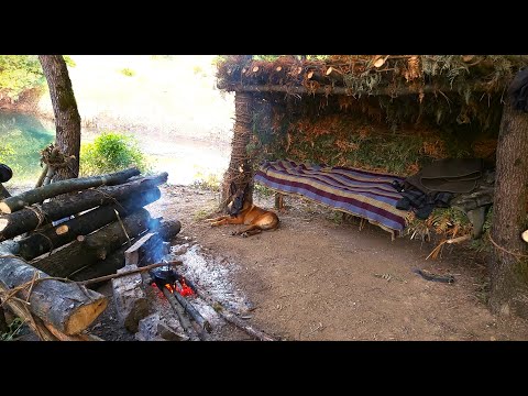 Primitive bushcraft shelter and campsite