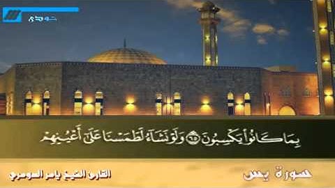 ألم أعهد إليكم يا بني آدم -- ياسر الدوسري (تلاوة مؤثرة)