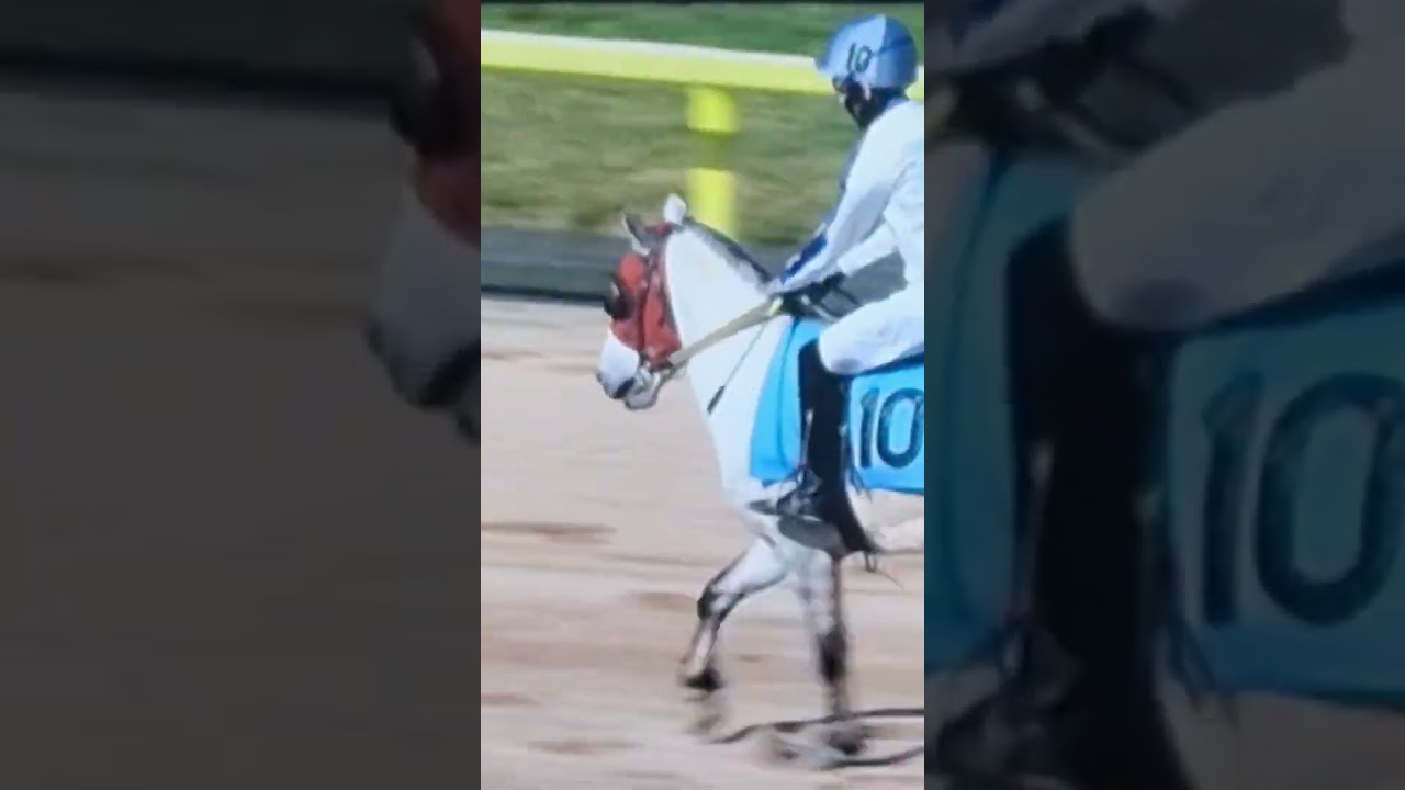 10번 달려볼까