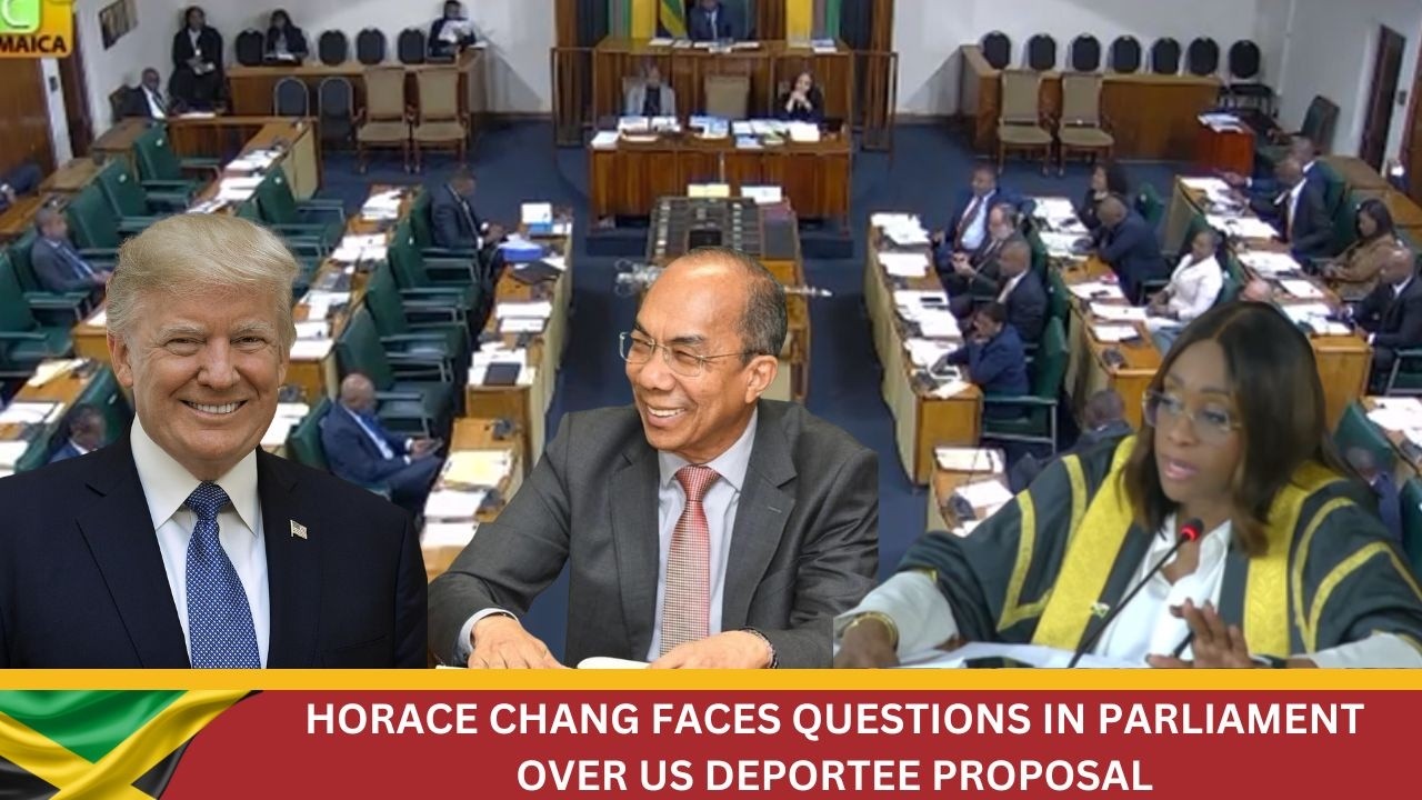 US Deportee Deal Under Fire As Horace Chang Speaks In Parliament
