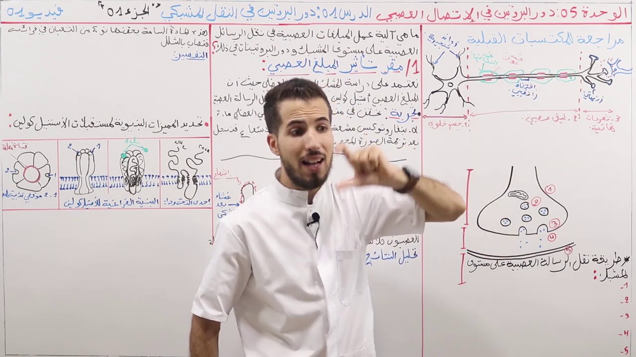 01#_""الوحدة 05 : الإتصال العصبي_الدرس 01 دور البروتين في النقل المشبكي ""الجزء الأول