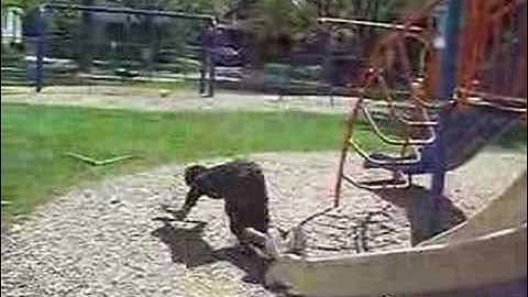 Troy Gueno Stuntman Forever
