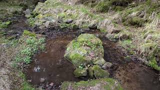 Nature Video in Austria I Full HD I @Wiener_TV