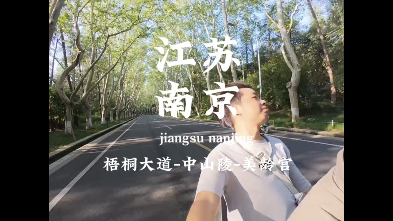 江苏南京 梧桐大道 中山陵 美龄宫。是南京，也是金陵。 梧桐枝桠疯长，爱意贯穿心脏。