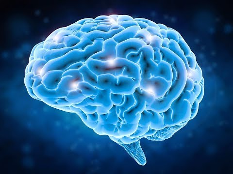 Видео: Модерният човешки мозък: супер мощно оръжие! - Алтернативен изглед