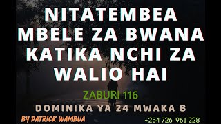 Nitatembea Mbele Za Bwana Katika Nchi Za Walio Hai By Patrick Wambua  Dominika Ya 24 Mwaka B