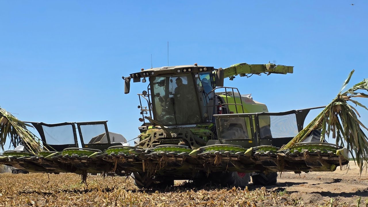 Jaguar 1200 Field Performance