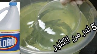 اعملي الكلور بأبسط وأسهل طريقة توفير وتدبير👌