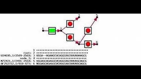 Phylo-transducer animation: nanos TCE