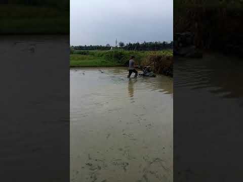 Video Máy xới mini bừa ruộng trũng. 0978760984 - youtube