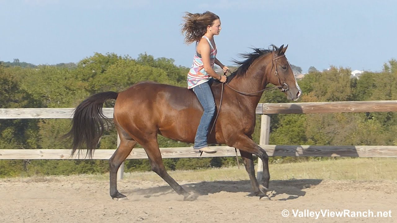 Lenas Smooth Cat - riding bareback in the arena - Valley View Ranch ...