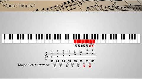 Module 2   Video Presentation