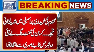 Heated Debate In Punjab Assembly Regarding Wheat | Lahore News HD