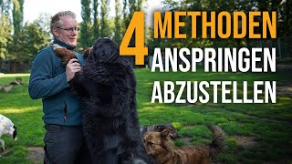 SO klappt es!  ✅ 4 Methoden, deinem Hund das ANSPRINGEN abzugewöhnen! (Hund springt Menschen an)