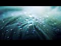 relaxing music for meditation calm background music for stress relief deep sleep massage