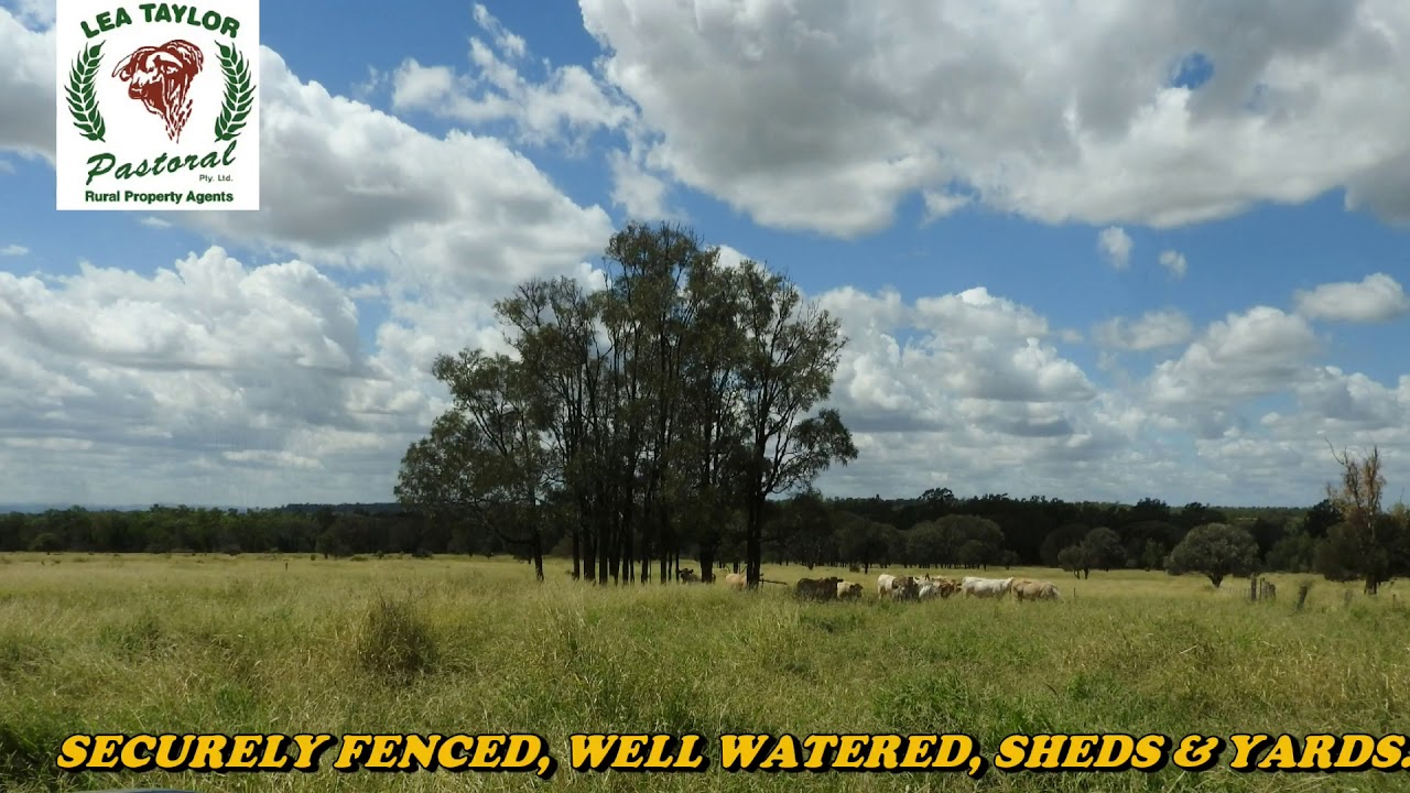 POCKET CREEK SPENCERS CORNOR SLIDE SHOW YouTube