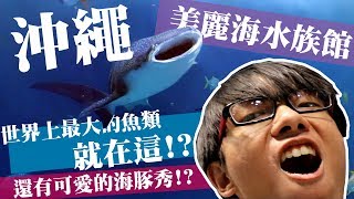 【蝦君的沖繩日記】美麗海水族館！超大隻的鯨鯊！？可愛的海豚 ...