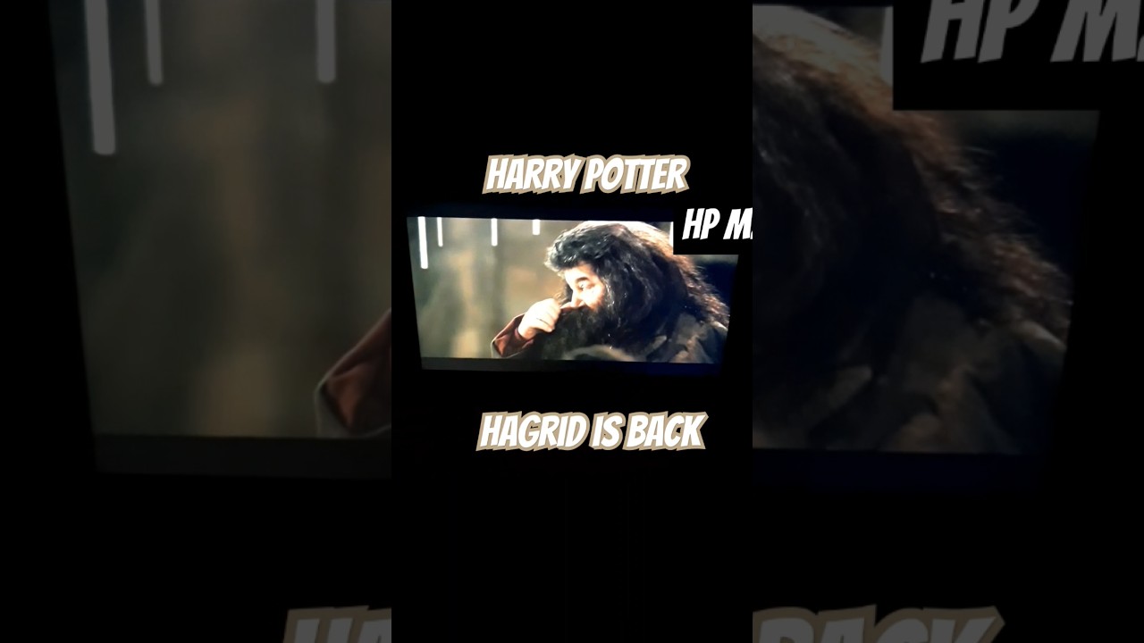 Hagrid is back 🥳 