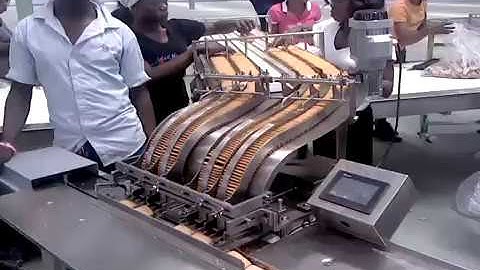 Biscuit flow packing machine packaging machine flow wrapper with magazine feeder