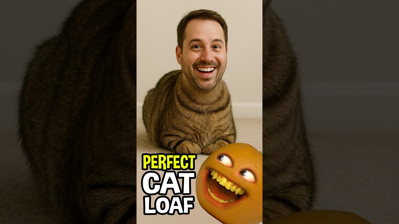 How to be a HUMAN CAT LOAF