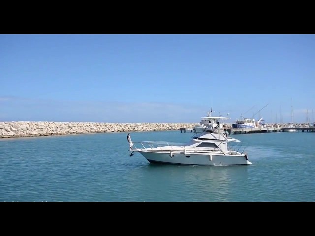 Bertram Fishing Yacht Rental Tour in Puerto Plata Dominican Republic