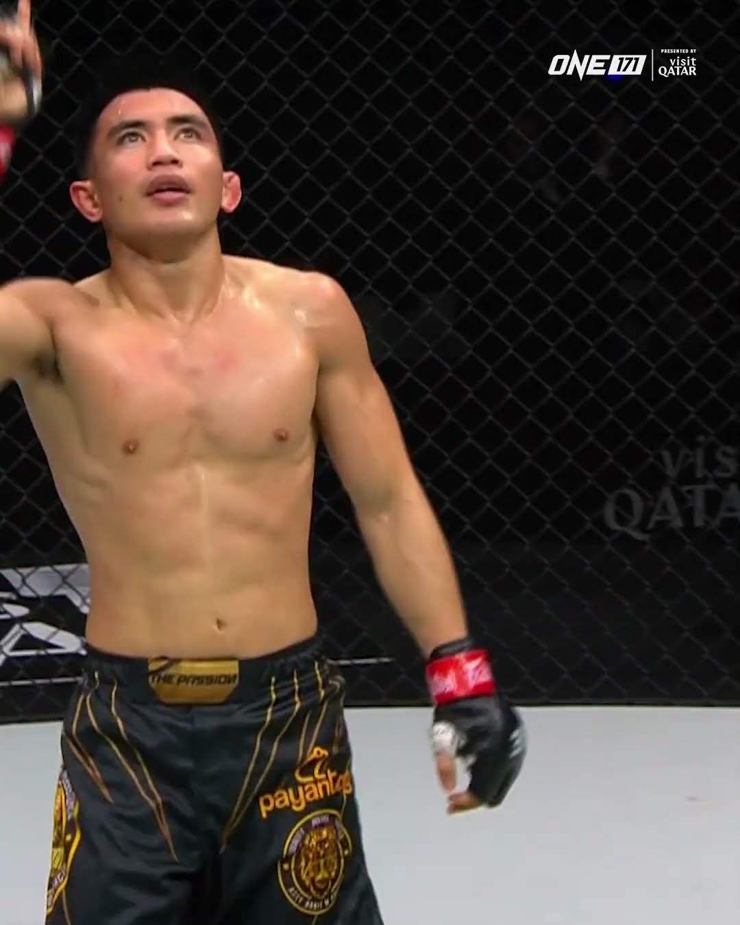 Highlights from the trilogy match between Joshua Pacio and Jarred Brooks at ONE 171: Qatar!