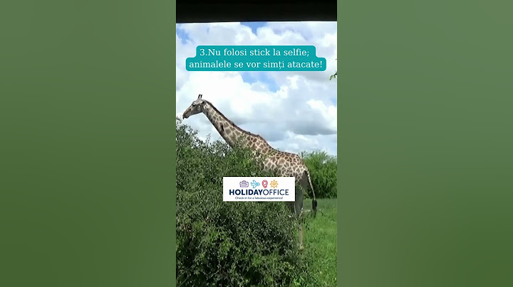 Tu știai ce reguli trebuie să respecți în safari?