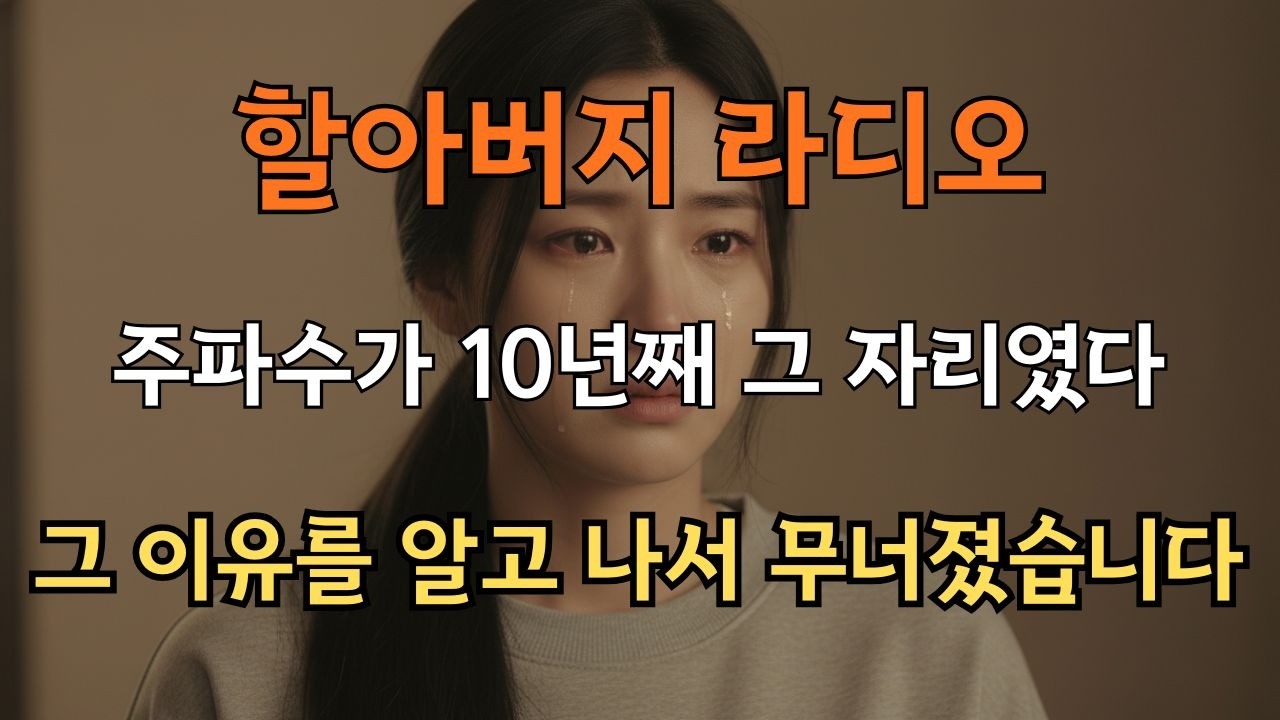 할아버지 유품 라디오를 켰더니 주파수가 10년째 그 자리였다 — 이유를 알고 나서 무너졌습니다