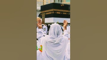 سورة المائدة || تلاوة القارئ محمد الفقيه صوت!! يشرح صدر #allahuakbar #exploreislam #allah #explore