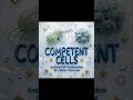 #labknowladgeatoz #COMPETENTCELLS | D. M.L.T / B.M.L.T / M.L.T | 🔬🧪🦠🧪🧫🧫📥👍
