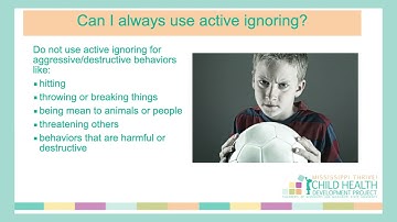 Supporting the Development of Your Child’s Brain Architecture: A Behavioral Support Toolbox Part 3F”