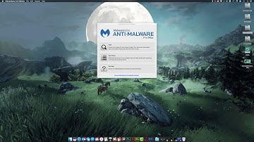 Malwarebytes for Mac