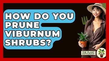 How Do You Prune Viburnum Shrubs? - The Plant Enthusiast