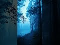 No Warmth Left | Blue Mist Forest #bluehour #darkforest #TwilightMood