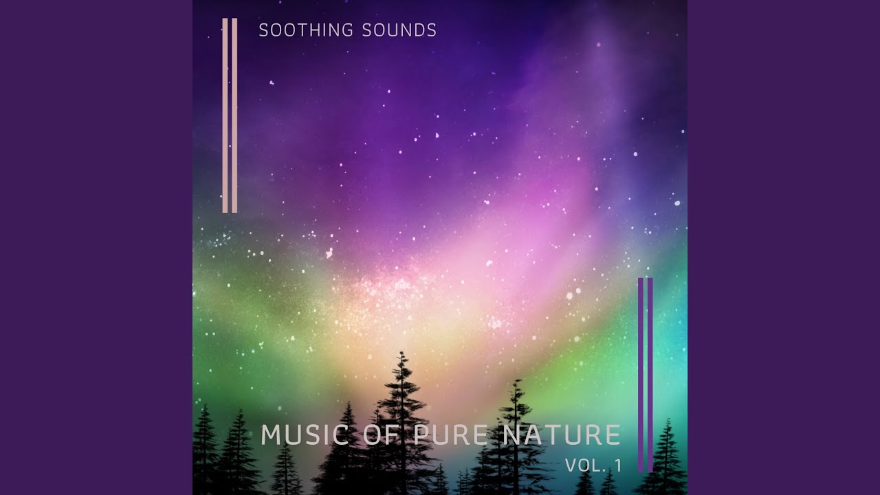Noisy Woods Tunes for Sleep pt. 1 (feat. Nature Songs Nature Music, Ambient Nature Project &...