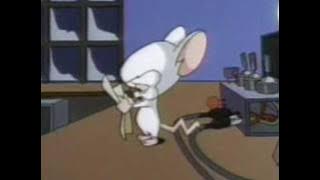 Pinky and the Brain: Christmas Wish
