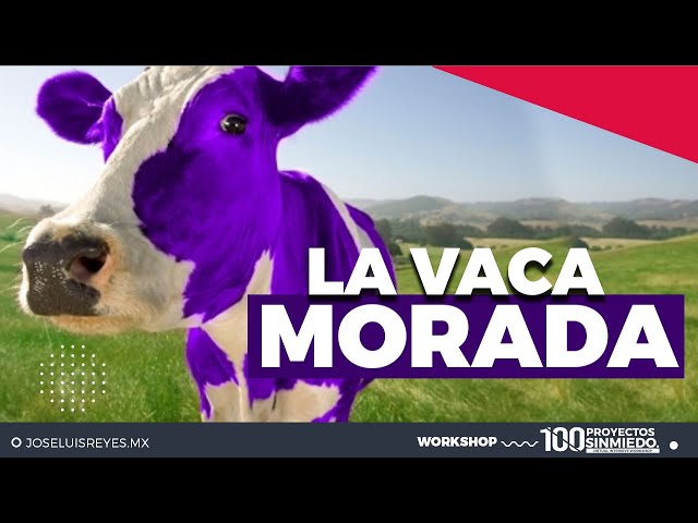 Entendiendo la Diferenciación: La Vaca Púrpura – Organización Empresarial  Guatemala